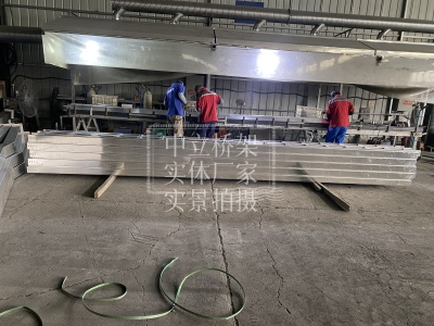 梯式大跨距加长桥架